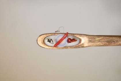 Миллиметрового котенка по имени Гав создал новосибирский левша Анискин