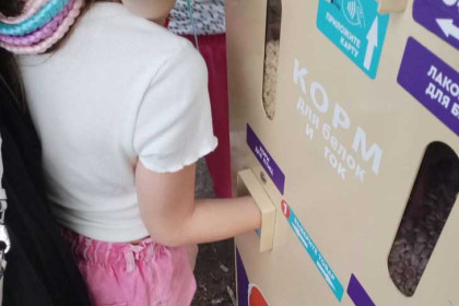 Девятилетняя девочка застряла в автомате для кормления белок в Новосибирске