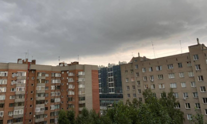 Дерево рухнуло, дороги затопило: последствия мощного ливня в Новосибирске