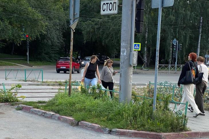 Роковые кусты у трамвайных путей снесли после гибели женщины в Новосибирске