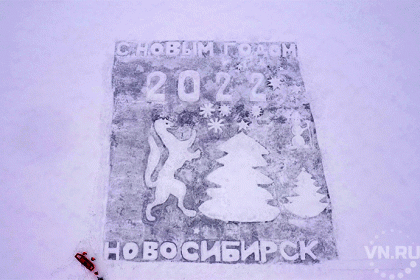 Соболь на льду поздравляет новосибирцев с Новым годом-2022