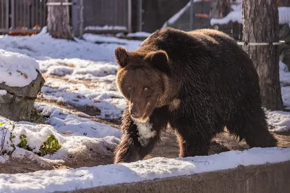 Первая декада октября-2025 побила рекорд холода в Новосибирской области