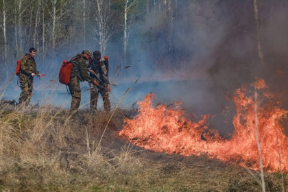Банк России рекомендует реструктурировать кредиты пострадавших от пожаров в Новосибирской области