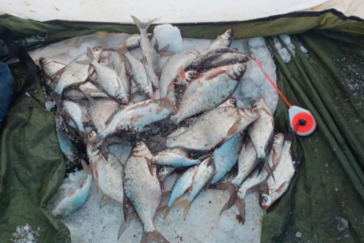 Два рыбака заблудились на Обском море в метель 