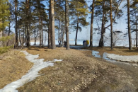 В шести муниципалитетах Новосибирской области запретили ходить в лес