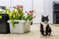 Синоптики подготовили прогноз на весну 2026 года для Новосибирска