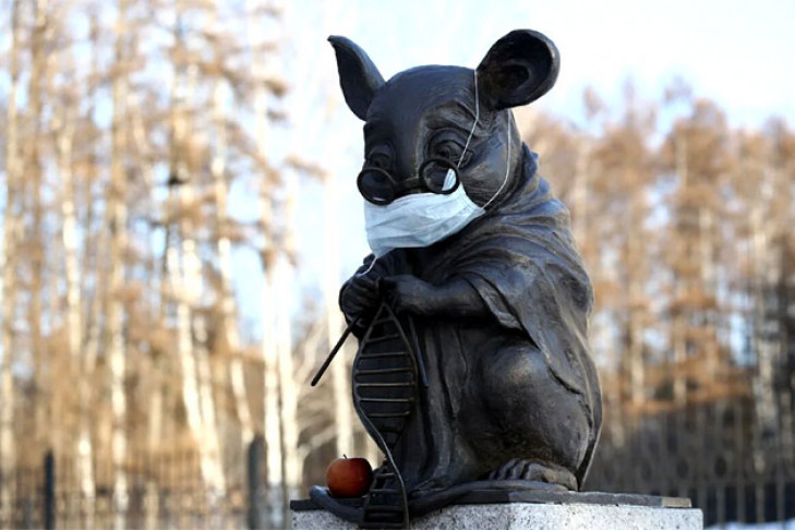 Лабораторных крыс чествуют 24 апреля в Новосибирске