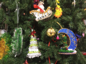 Новогодние ёлки Новосибирской области участвуют во Всероссийском конкурсе