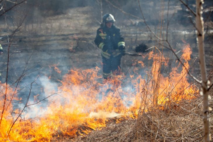Губернатор Новосибирской области призвал жителей не использовать открытый огонь на майских праздниках