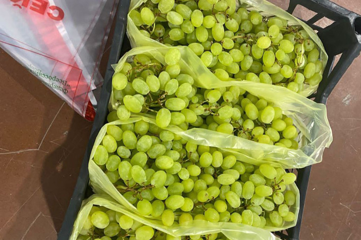 Виноград стал главным витамином жителей Новосибирска