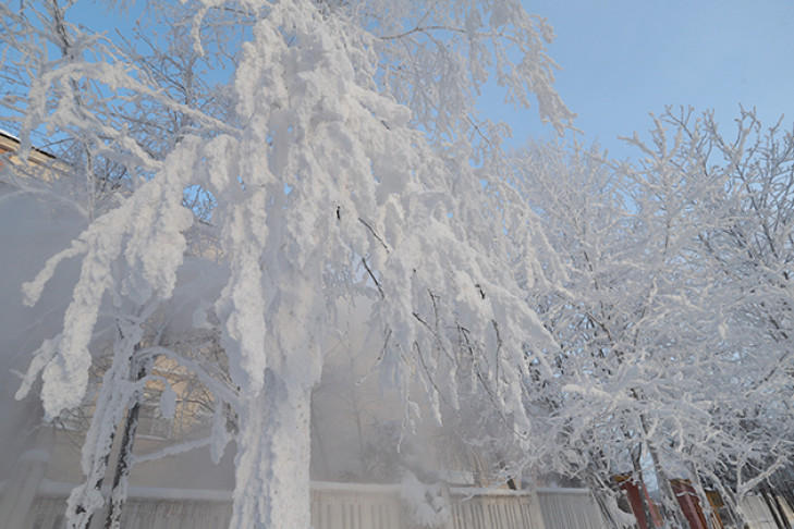 Морозы до -37 градусов ожидают жителей Новосибирской области