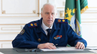 Глава СКР поручил доложить об избиении школьницы в Новосибирске