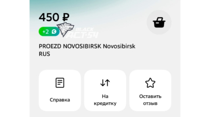 В Новосибирске случился сбой в оплате проезда в общественном транспорте