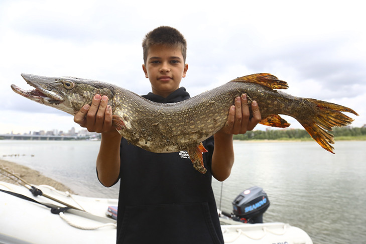 В День рыбака 12-летний новосибирец поймал огромную щуку