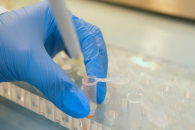 Новосибирский инфекционист оценил вероятность «Болезни X» и возможной пандемии