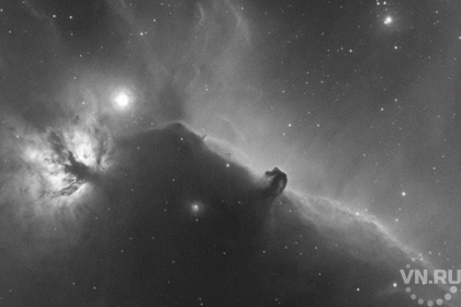 Темную туманность в созвездии Ориона снял астрофотограф из Новосибирска