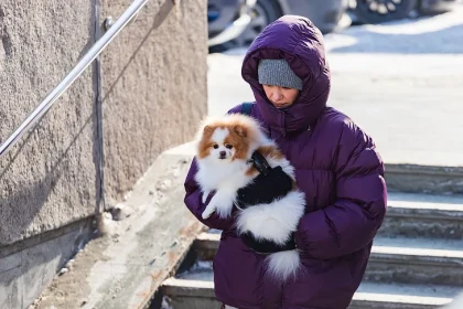 Зимняя стужа снова придет в Новосибирск в день Порфирия Позднего 11 марта