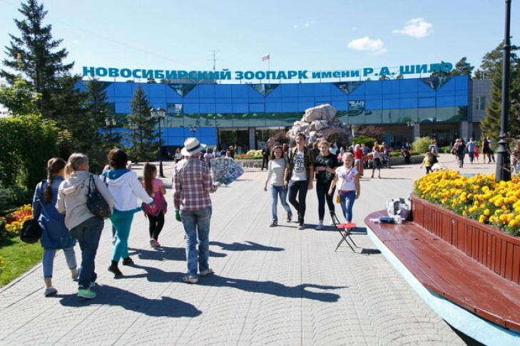 Билеты вернул в свои кассы Новосибирский зоопарк