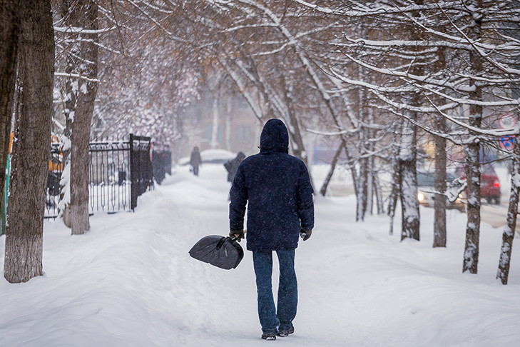 Новые снегопады спрогнозировали синоптики в Новосибирске на 26 и 27 ноября