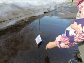 Весна в этом году обещает быть аномально теплой️