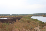 Ликвидацию отстойников спиртзавода под Новосибирском регион заявляет в нацпроект