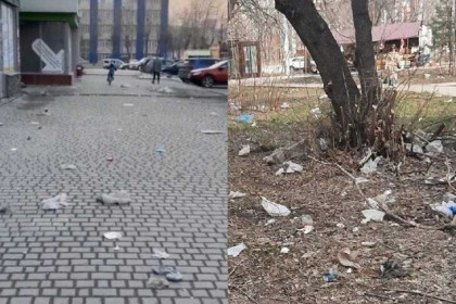 «Новосибирск утопает в мусоре»: петицию в защиту города создала экскурсовод Наталья Сапко