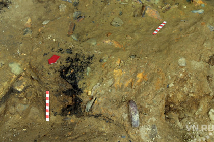 Самый древний дымокур в Азии нашли археологи из Новосибирска 