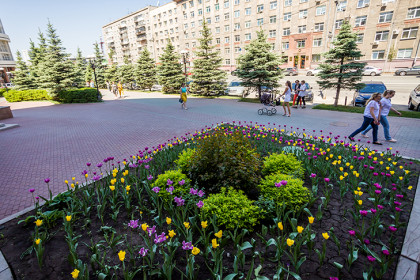 В СГУГиТ сравнили обеспеченность озелененными территориями Новосибирска и Красноярска