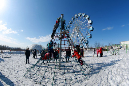 Астрономическая весна наступила 20 марта в Новосибирске