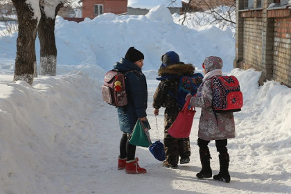 Школьные каникулы в Новосибирской области продлены на неделю