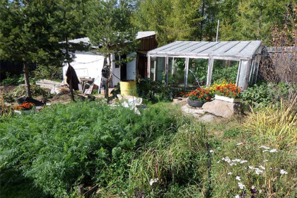 Главные болезни дачных грызунов весной-2025 назвали в Новосибирске