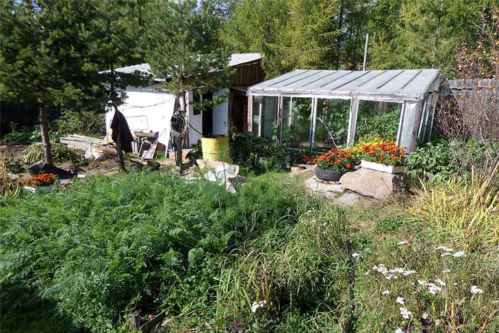 Главные болезни дачных грызунов весной-2025 назвали в Новосибирске