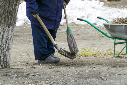 Дворник-хулиган из Новосибирска заинтересовал главу следкома Бастрыкина