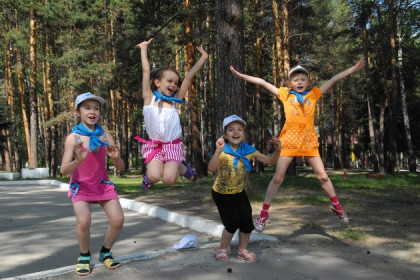 Где узнать информацию о детских лагерях в Новосибирской области 
