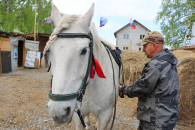 Конный клуб по соцконтракту открыл в Новосибирской области ветеран спецоперации