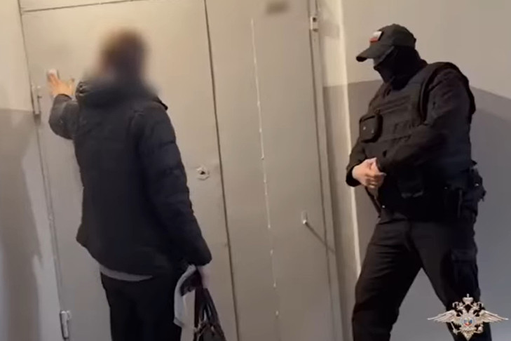 Новосибирские аферисты заработали 22,5 млн рублей с «Пушкинских карт»