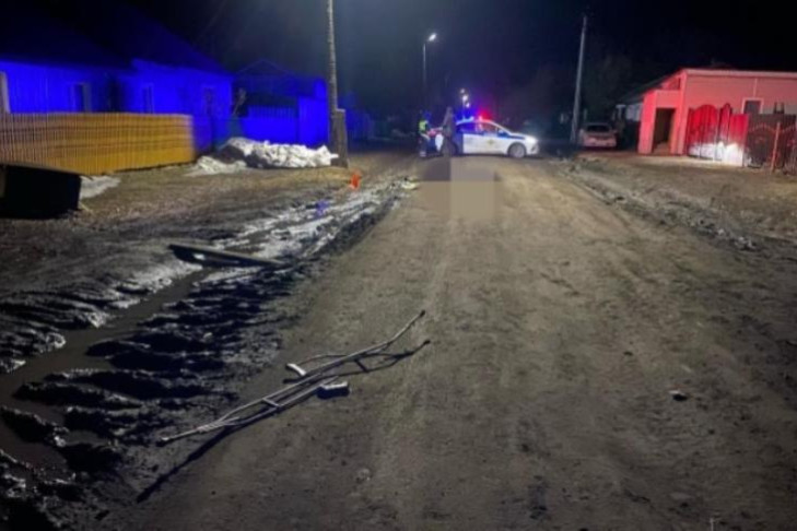 Водитель Toyota Harier насмерть сбил пожилого пешехода в Купинском районе