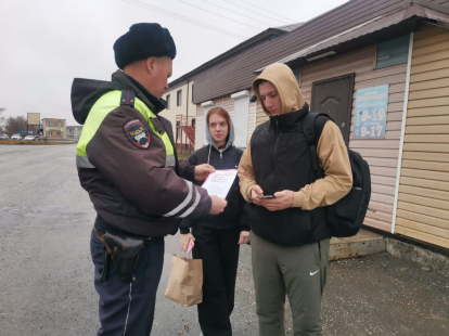 В Здвинске сотрудники Госавтоинспекции провели профилактическое мероприятие