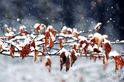 Погода 19-20 октября в Новосибирске: снежные выходные