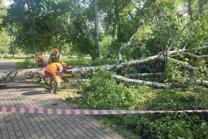 Фото дирекции городских парков