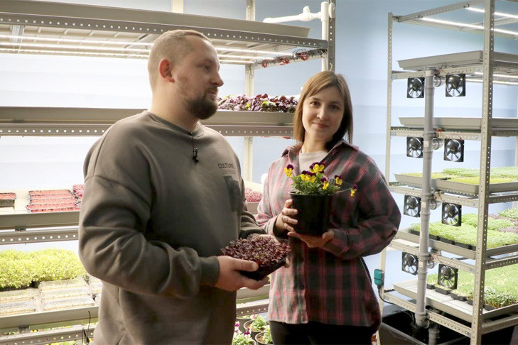 Рукола, базилик, горох и горчица – житель Новосибирска открыл успешный бизнес на микрозелени благодаря соцконтракту