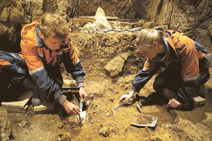 «Усатые» курганы Кулундинской степи изучат новосибирские археологи