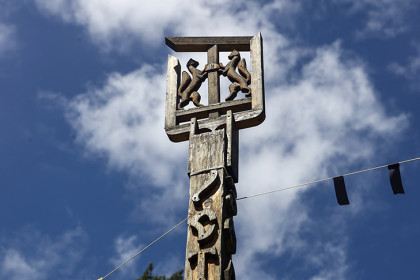 Самому старому лесу в Новосибирске добавили скоростей