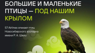 Авиакомпания S7 взяла под опеку птиц новосибирского зоопарка
