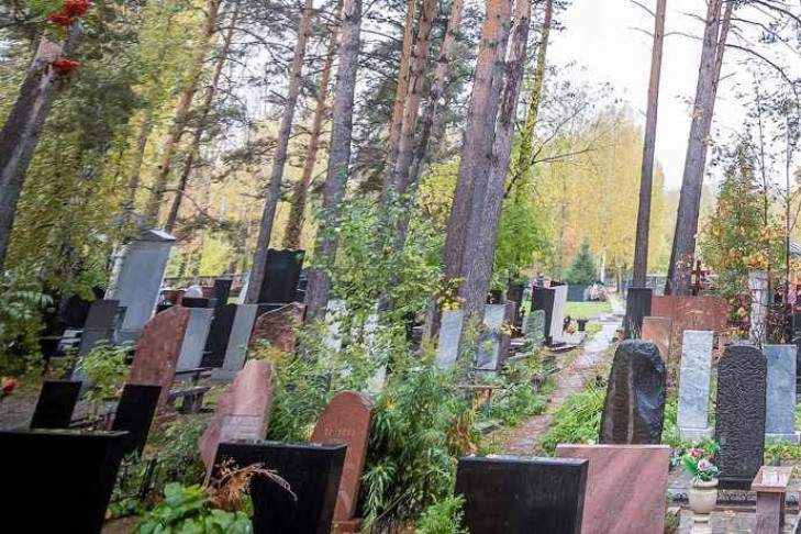 Навести порядок на кладбище обязали мэрию Новосибирска