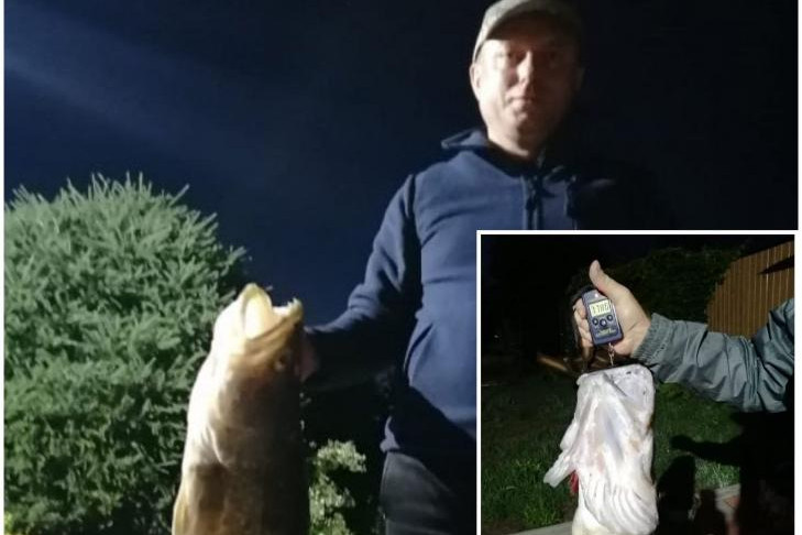 Житель Новосибирска поймал огромного судака весом 8 кг в реке Обь
