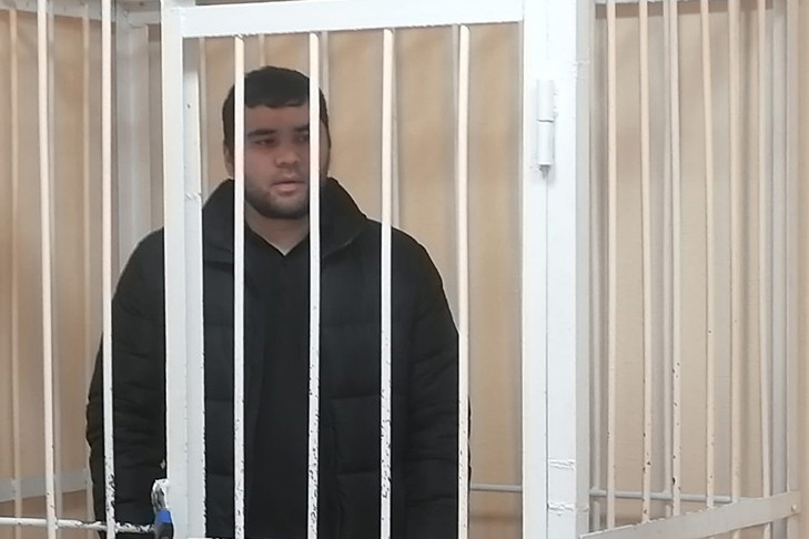 Мигрант получил 7 лет колонии за дискредитацию ВС РФ в Новосибирске