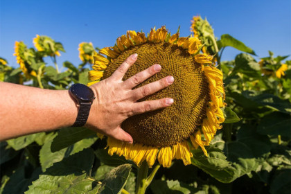 Прогноз погоды на 6-7 сентября в Новосибирске сделали синоптики