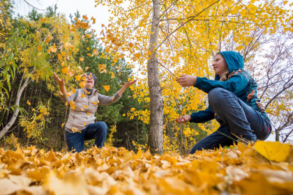 Самую теплую за 30 лет осень обещают Новосибирску синоптики в 2025 году