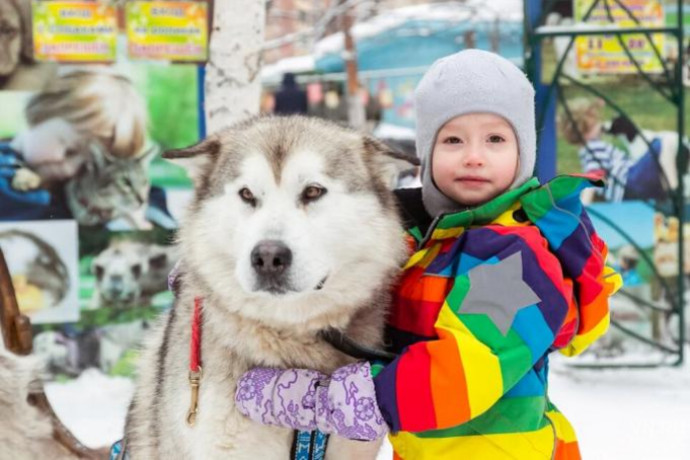 Какие Новые Выплаты С 8 Лет